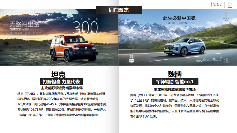 国产新能源汽车品牌区域年度营销方案【汽车】【SUV】【年度全案】 第3页