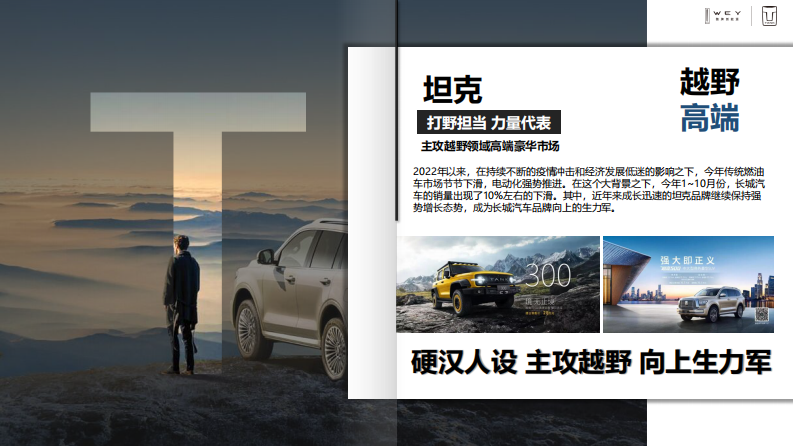 国产新能源汽车品牌区域年度营销方案【汽车】【SUV】【年度全案】 第4页