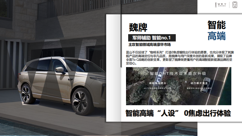 国产新能源汽车品牌区域年度营销方案【汽车】【SUV】【年度全案】 第5页