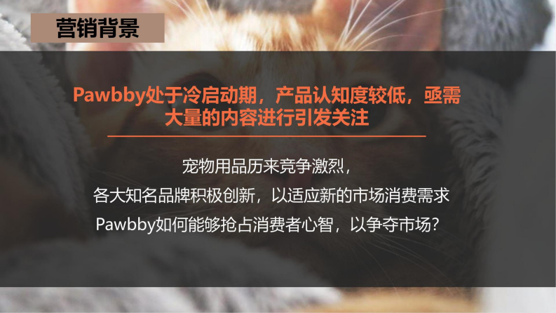 猫粮猫砂品牌内容营销全案方案【宠物食品】【宠物主食】【宠物用品】【种草营销】【公关传播】 第2页