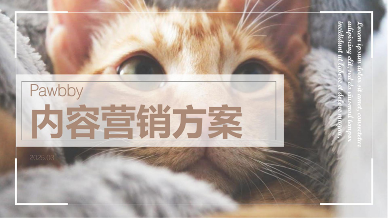 猫粮猫砂品牌内容营销全案方案【宠物食品】【宠物主食】【宠物用品】【种草营销】【公关传播】 第1页