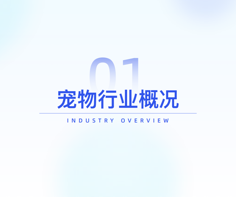 2025宠物食品市场线上消费趋势洞察 第4页