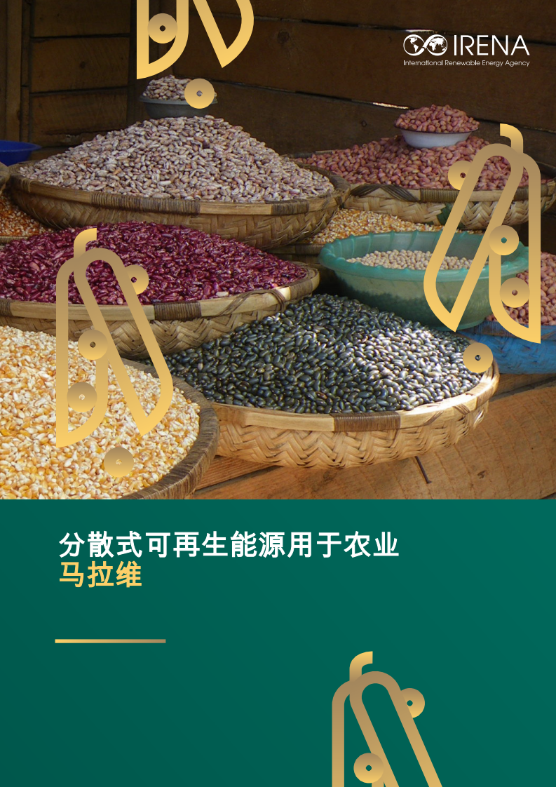2025年分散式可再生能源用于农业报告 第1页