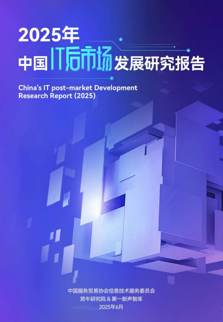 2025年中国IT后市场发展研究报告 第1页