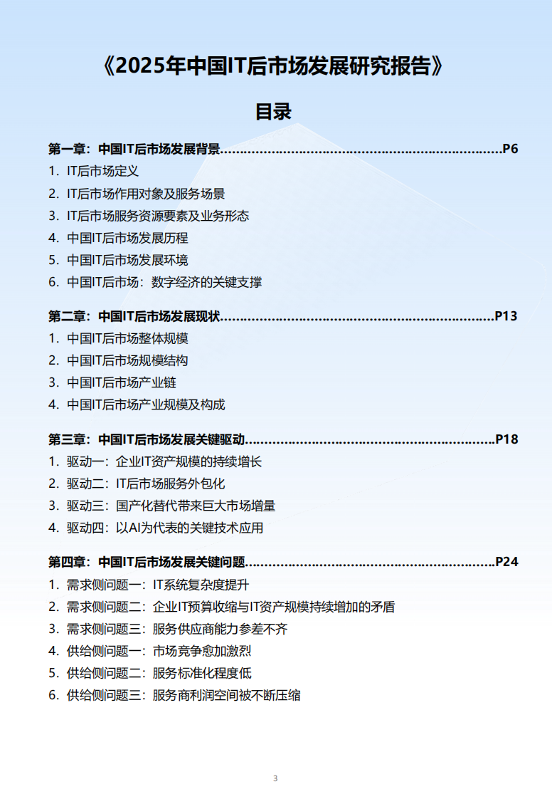 2025年中国IT后市场发展研究报告 第3页