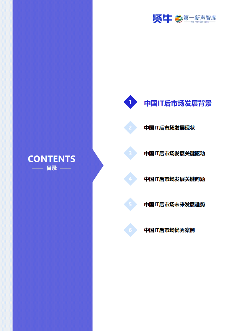 2025年中国IT后市场发展研究报告 第5页