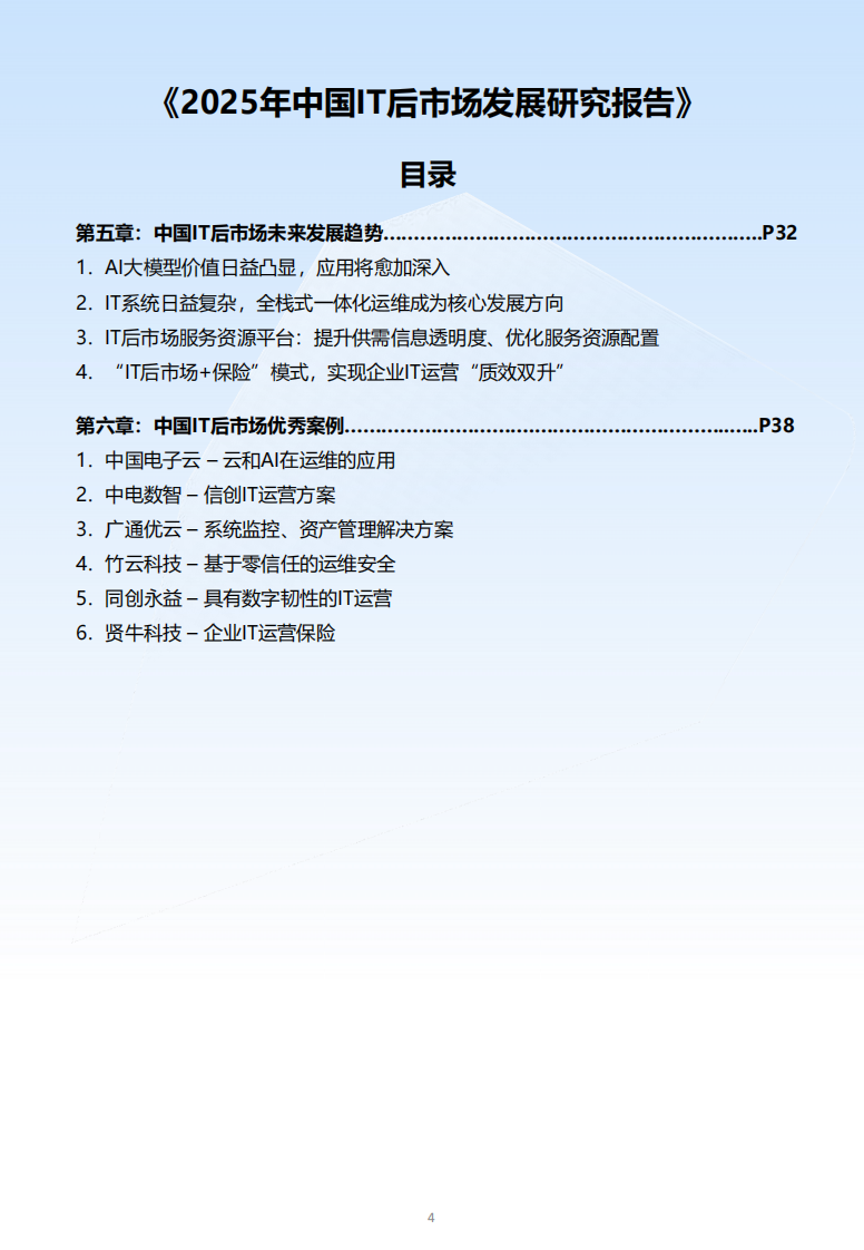 2025年中国IT后市场发展研究报告 第4页