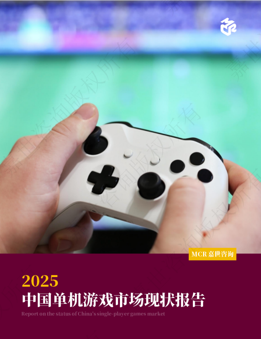 2025中国单机游戏市场现状报告 第1页