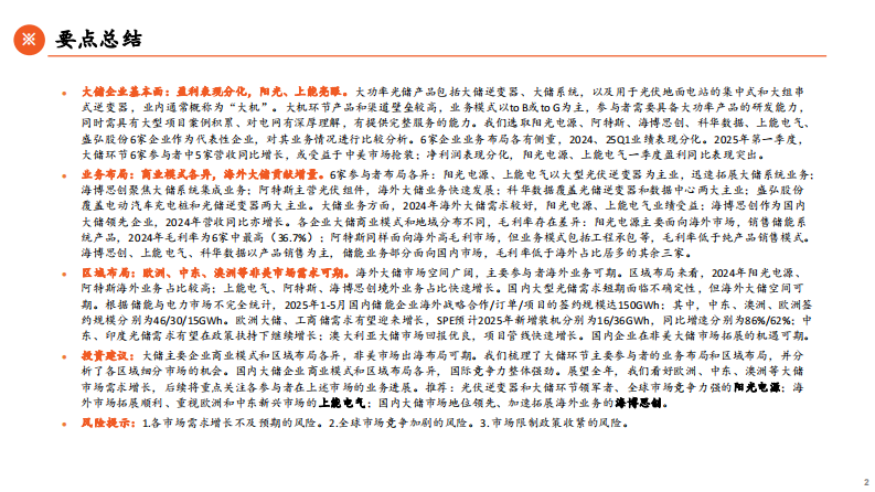 光储逆变器比较研究（二）-大储企业非美市场拓展可期 第2页