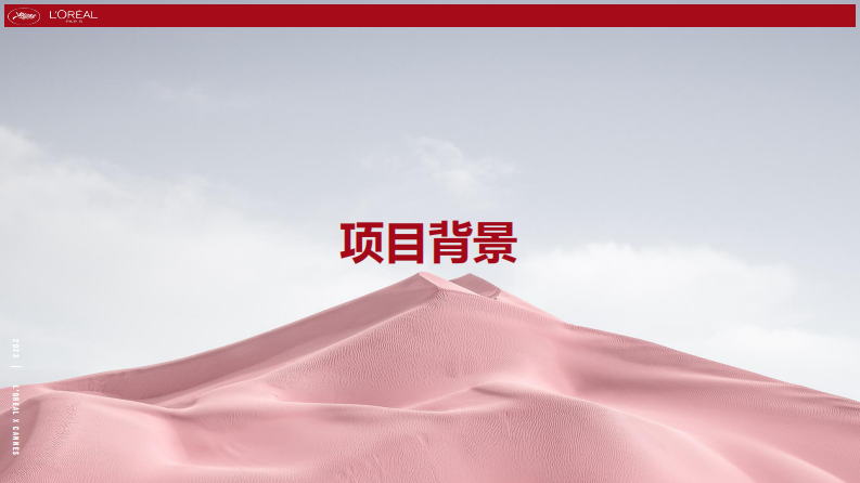 国际美妆护肤品牌x戛纳电影节整合营销案例【美妆护肤】【跨界营销】【借势营销】【整合营销】 第3页