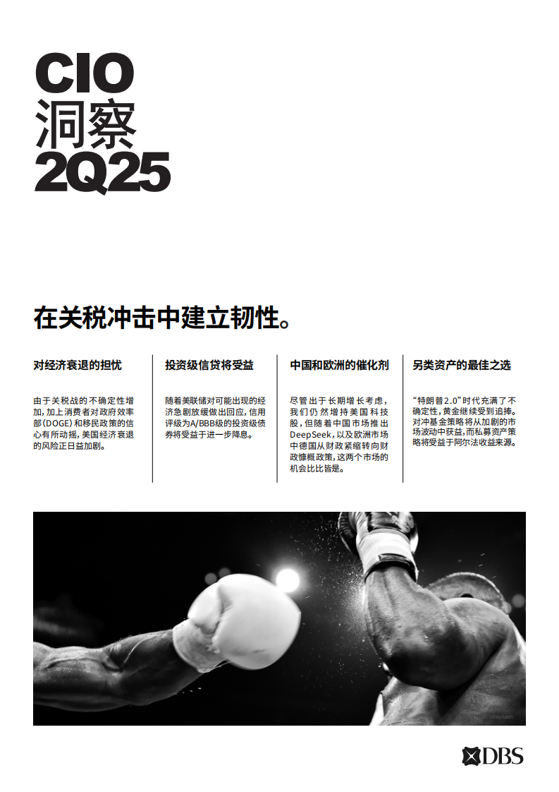 2025年第二季度CIO洞察报告 第1页