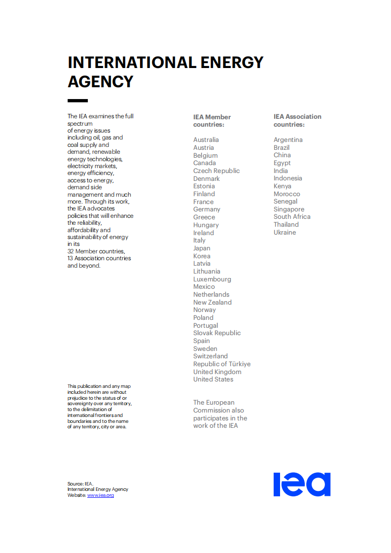 2025公正包容能源转型行动蓝图：&ldquo;以人为本的清洁能源转型&rdquo; 框架（英文） 第2页