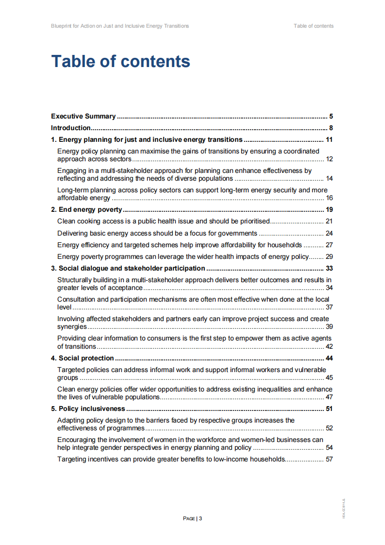 2025公正包容能源转型行动蓝图：&ldquo;以人为本的清洁能源转型&rdquo; 框架（英文） 第3页
