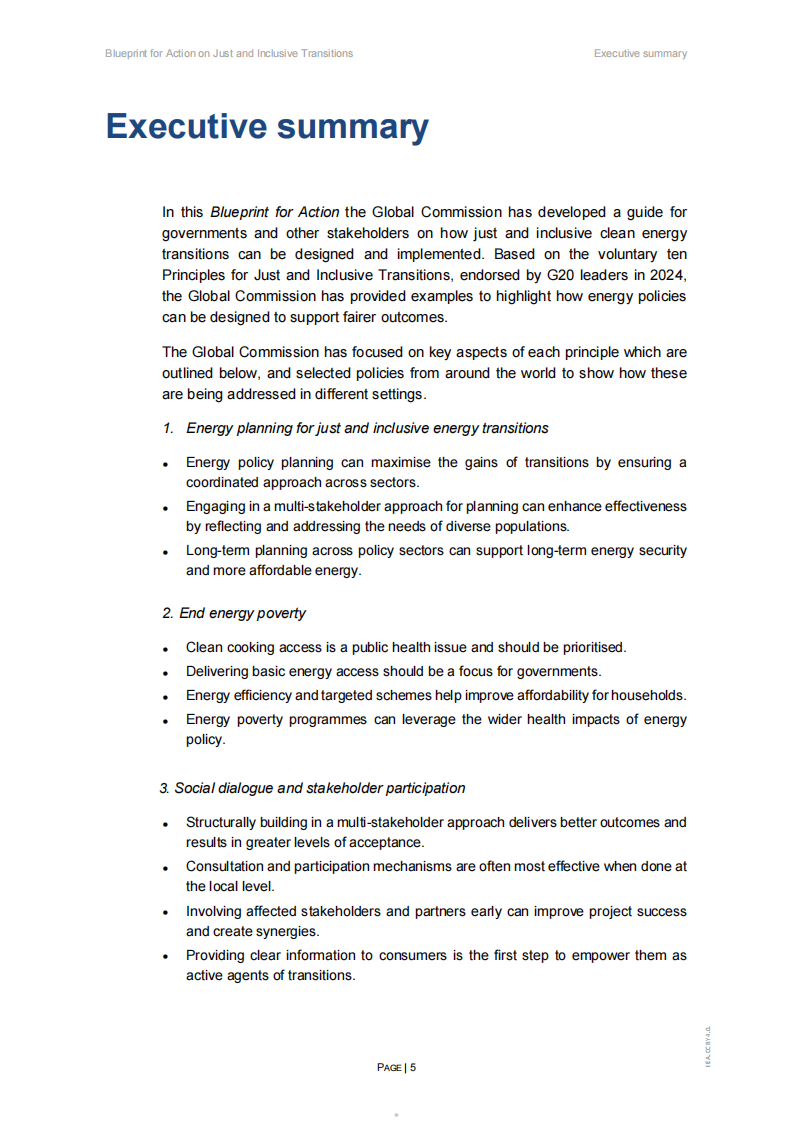 2025公正包容能源转型行动蓝图：&ldquo;以人为本的清洁能源转型&rdquo; 框架（英文） 第5页