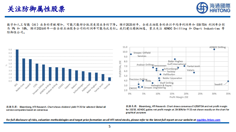 2025年全球新能源展望：哪些可行，哪些不可行-海通国际 第5页