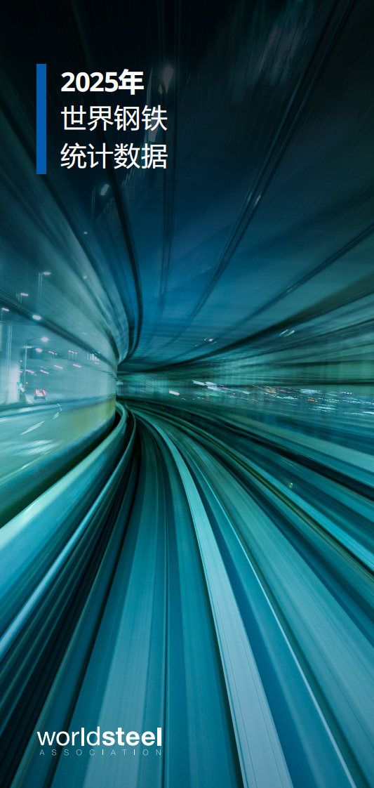 2025年世界钢铁统计数据报告 第1页