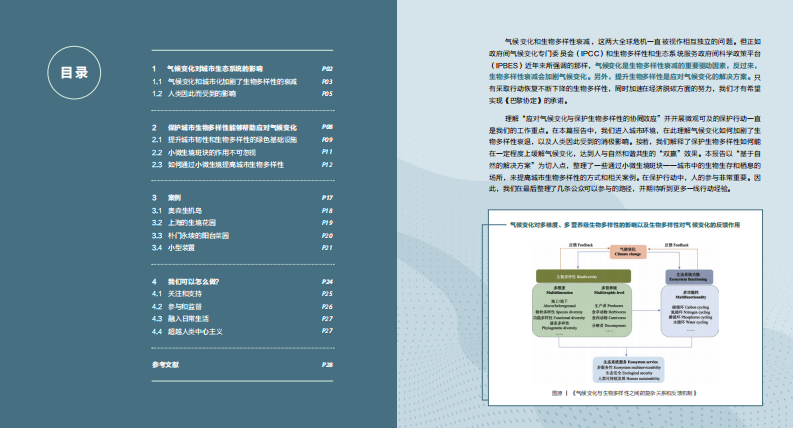 2023年气候变化下的生物多样性：城市小微生境的作用不可忽视报告 第2页