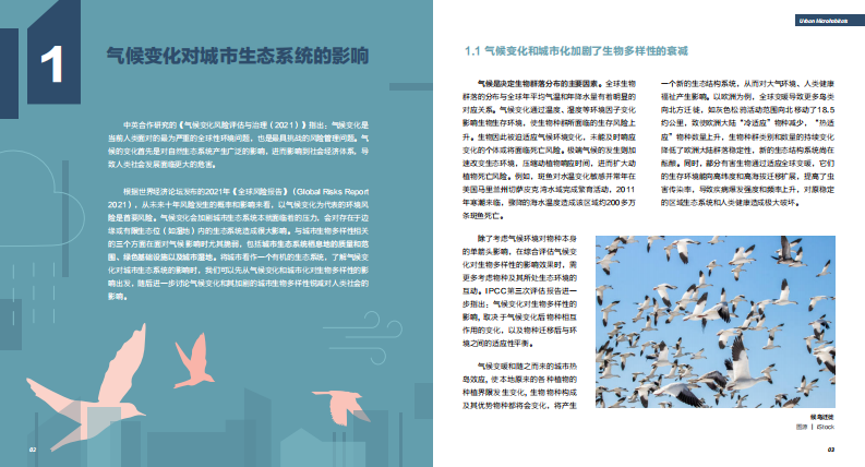 2023年气候变化下的生物多样性：城市小微生境的作用不可忽视报告 第3页