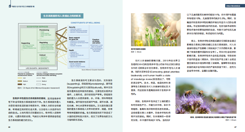 2023年气候变化下的生物多样性：城市小微生境的作用不可忽视报告 第5页