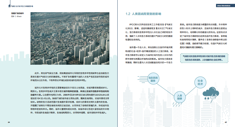 2023年气候变化下的生物多样性：城市小微生境的作用不可忽视报告 第4页