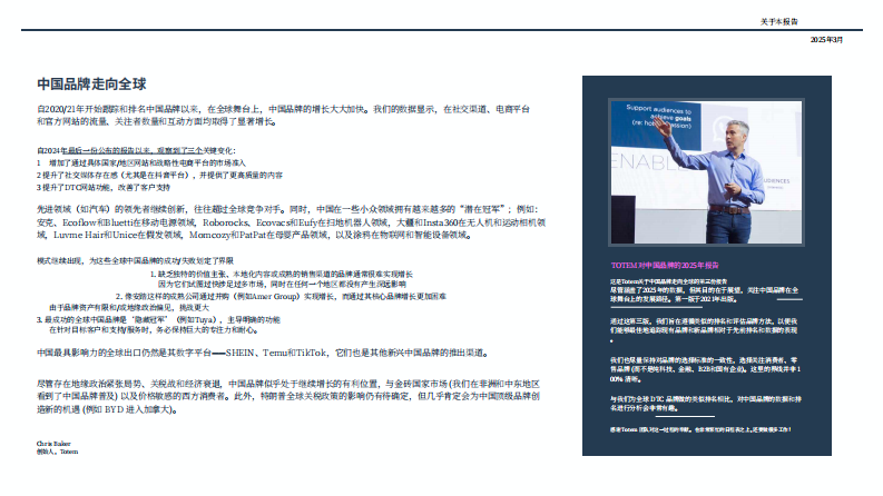 2025年中国品牌走向全球 第2页