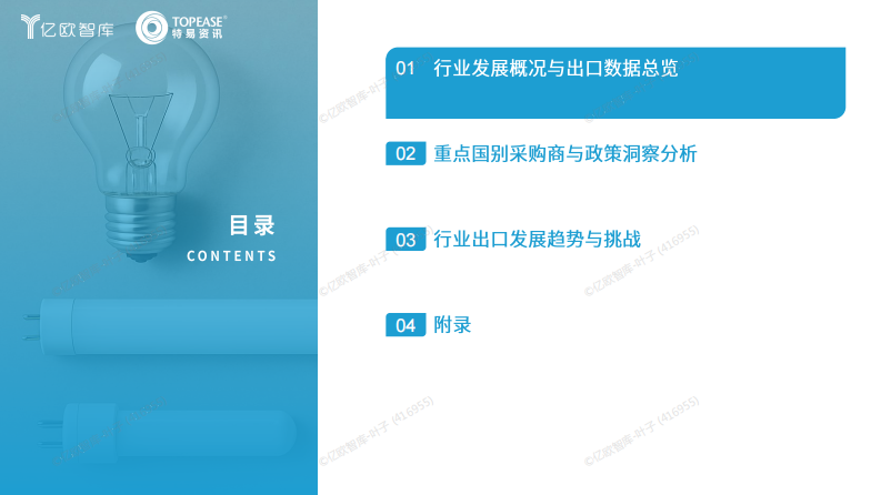2025年中国照明行业出海国别机会洞察报告 第2页