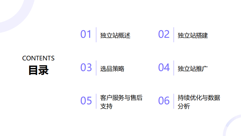 跨境快消独立站运营指南 第2页