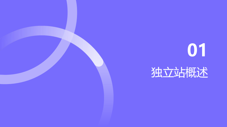 跨境快消独立站运营指南 第3页