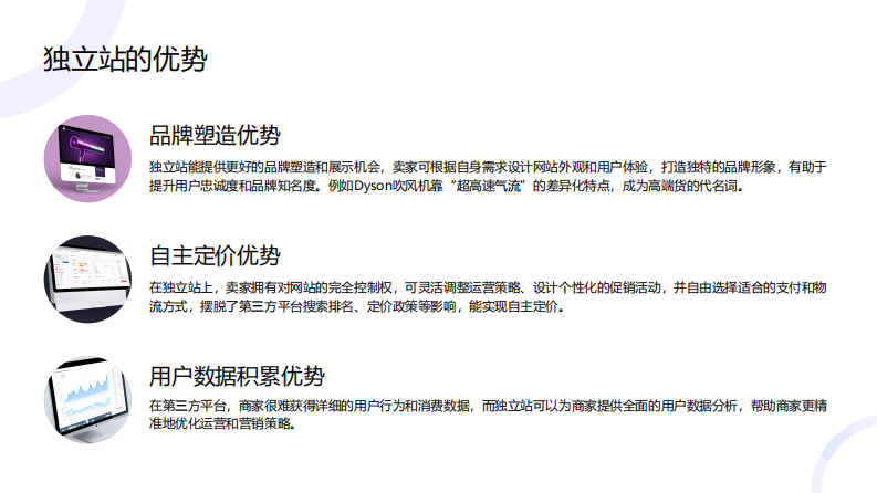 跨境快消独立站运营指南 第5页