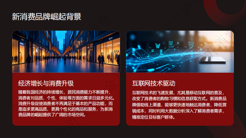 2025新消费品牌产品创新趋势与用户需求洞察报告 第2页