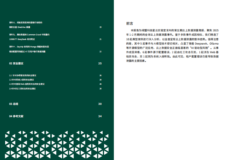 2025年全球云上数据泄露风险分析报告 （第五期） 第3页