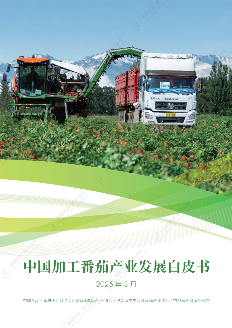 2025年中国加工番茄产业发展白皮书 第1页