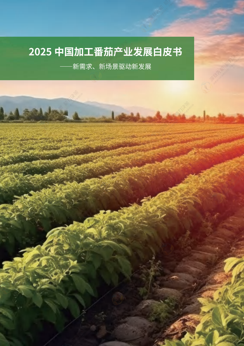 2025年中国加工番茄产业发展白皮书 第3页