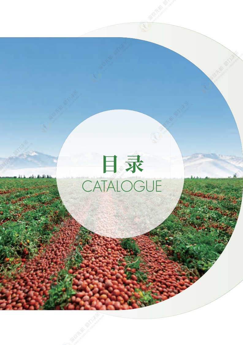 2025年中国加工番茄产业发展白皮书 第4页