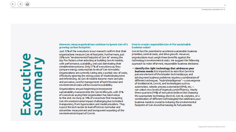 2025年发展可持续生成式人工智能（Gen AI）-实践路线图及其环境影响研究报告（英文） 第5页