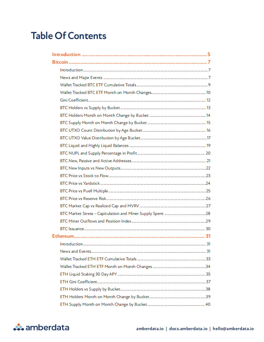 2025年第一季度全球数字资产市场情报报告（英文） 第3页