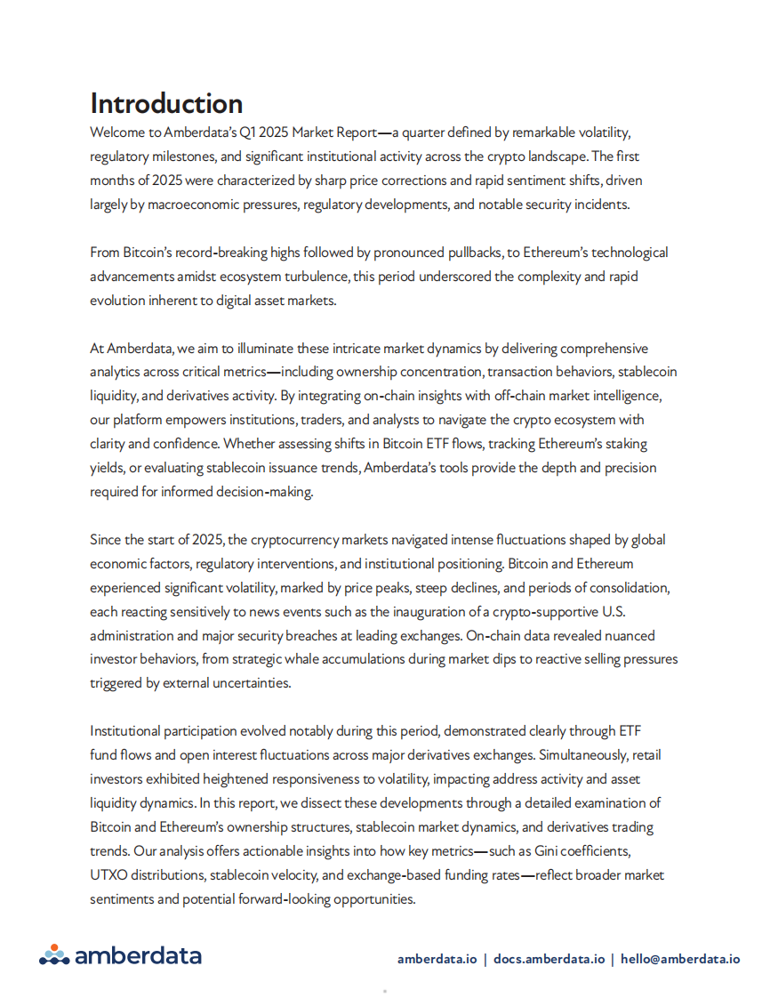 2025年第一季度全球数字资产市场情报报告（英文） 第5页