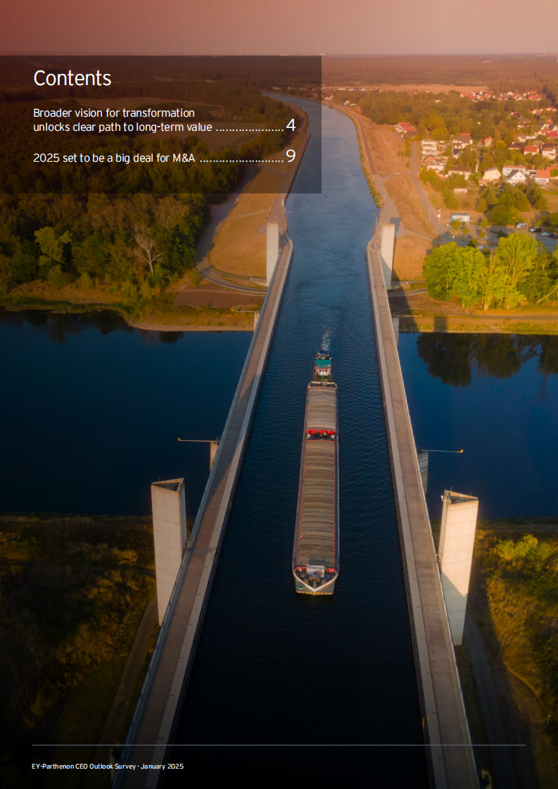 2025年全球首席执行官（CEO）展望报告：战略转型思维赋能长期价值释放（英文） 第2页