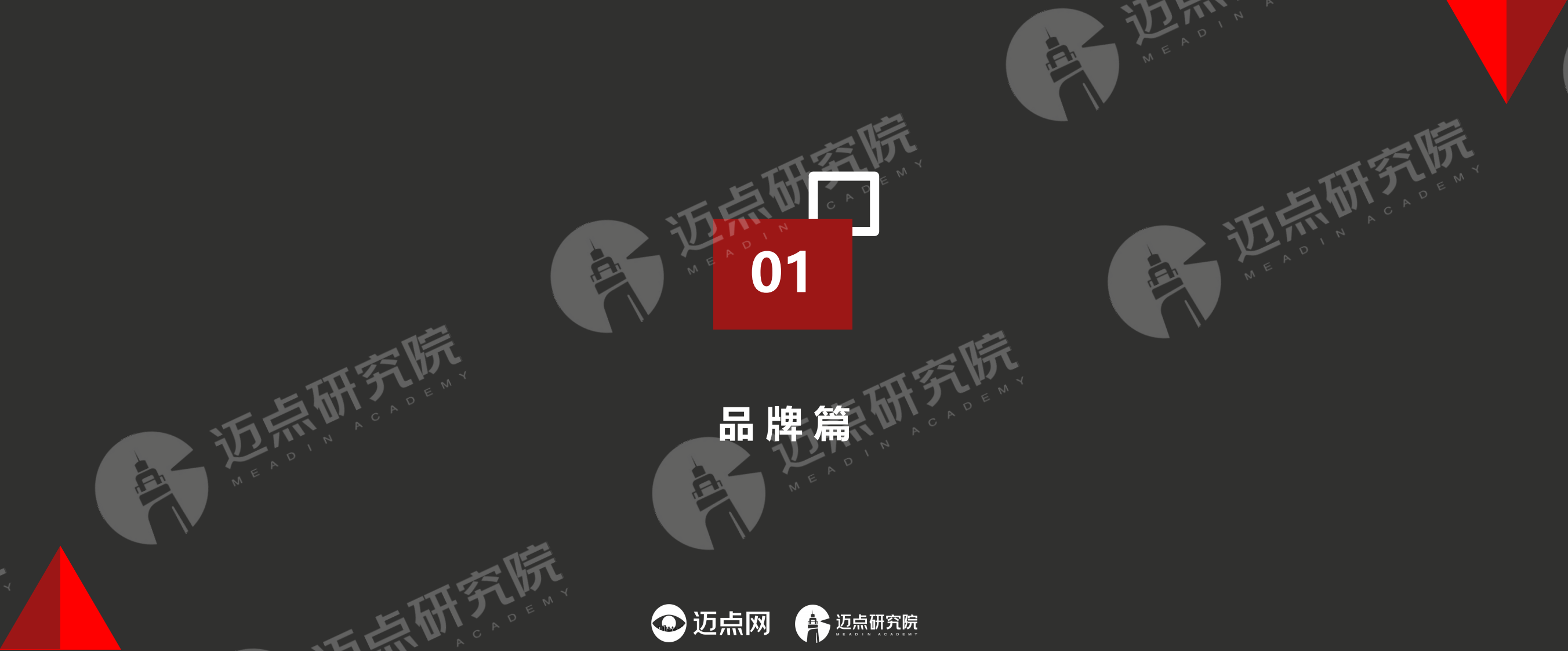 2025年中国住房租赁品牌发展报告 第3页