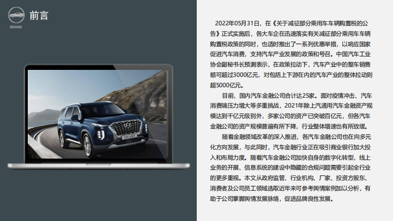 汽车金融行业舆情风险案例参考报告 第3页