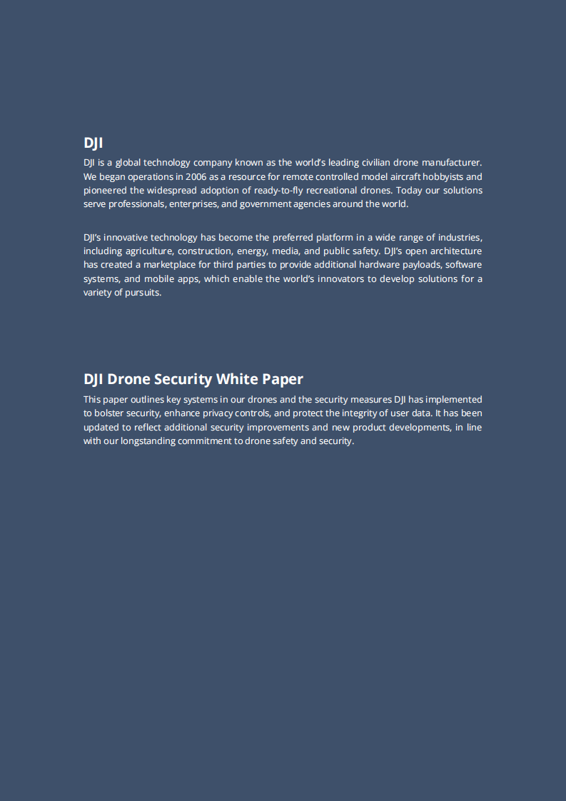 2025年版无人机安全白皮书（英文） 第2页