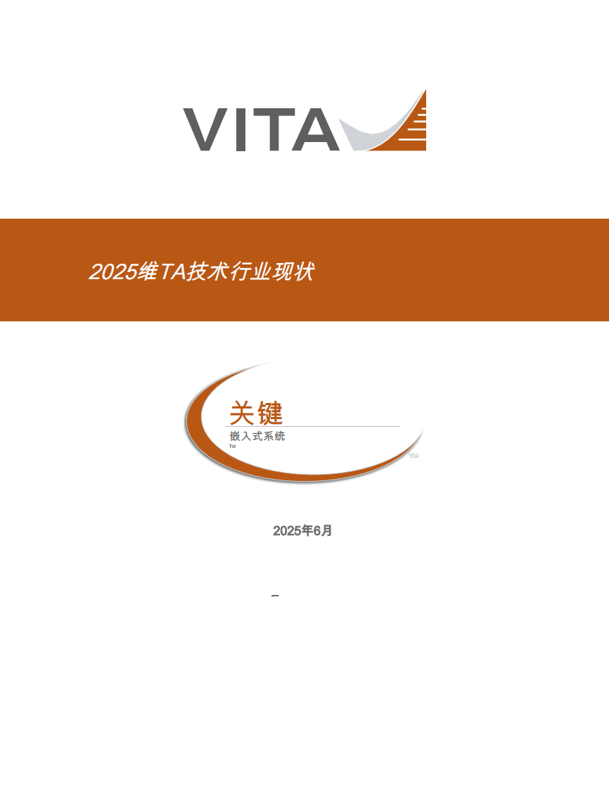 2025年维TA技术行业现状 第1页
