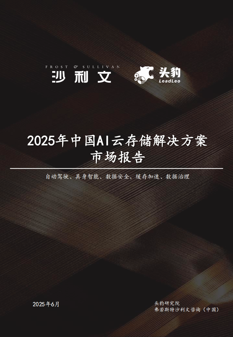 2025年中国AI云存储解决方案市场报告 第1页
