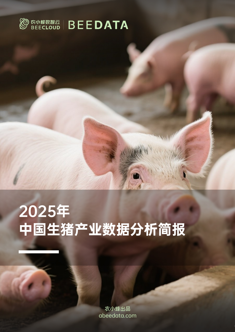 2025年中国生猪产业数据分析简报 第1页
