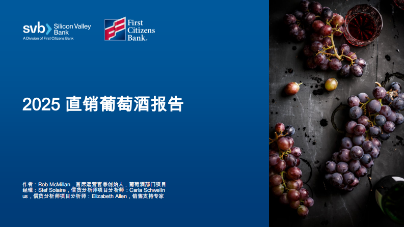2025直销葡萄酒报告 第1页
