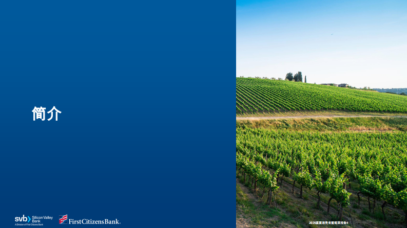 2025直销葡萄酒报告 第4页