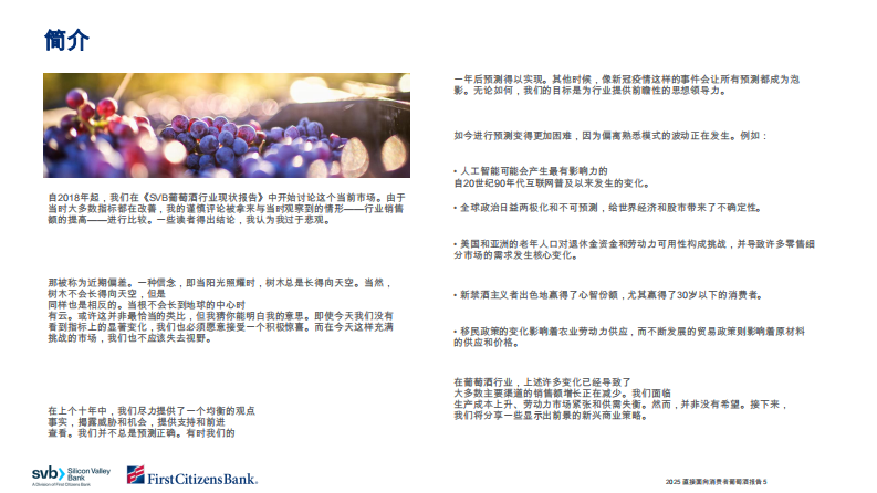 2025直销葡萄酒报告 第5页