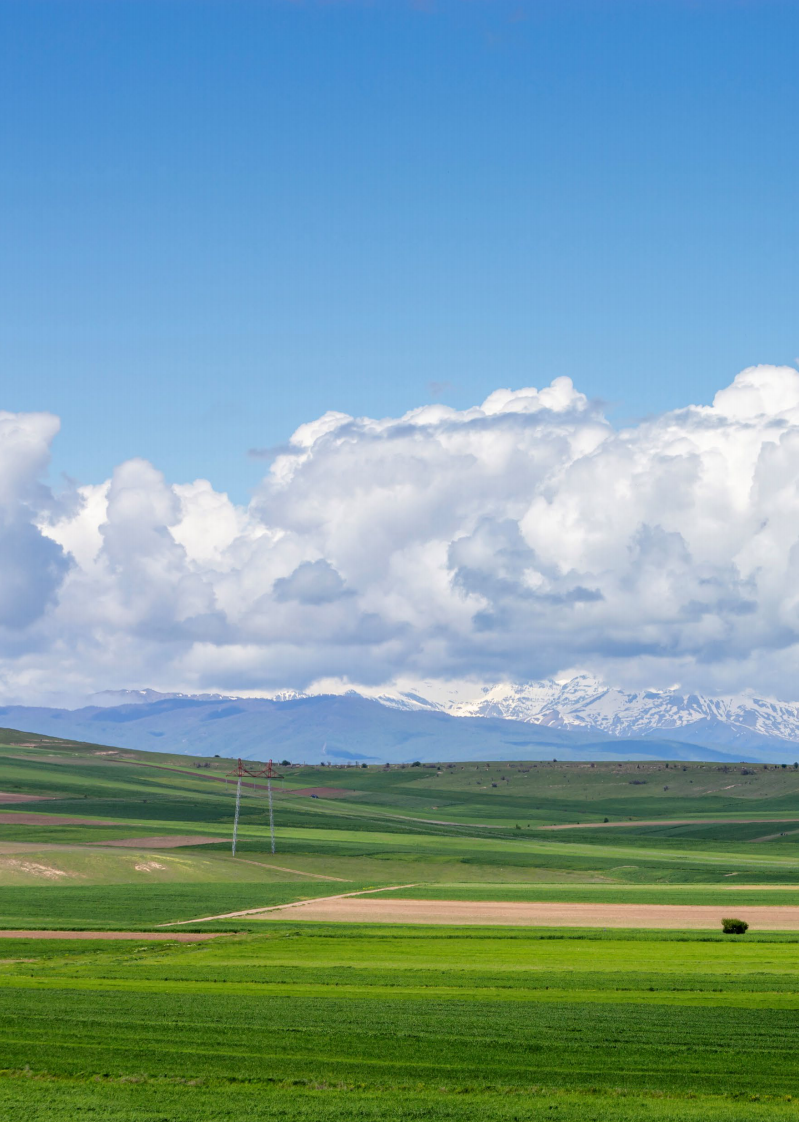 现代农业发展深度调查报告 第2页