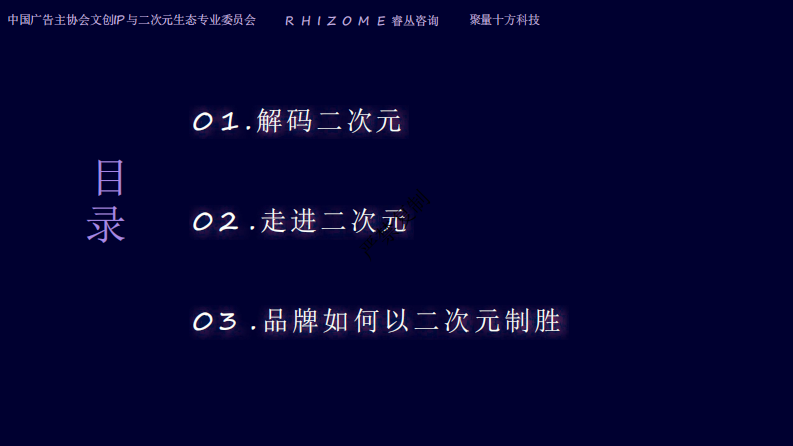 2025二次元生态白皮书 第2页