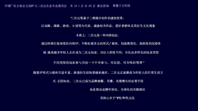 2025二次元生态白皮书 第4页